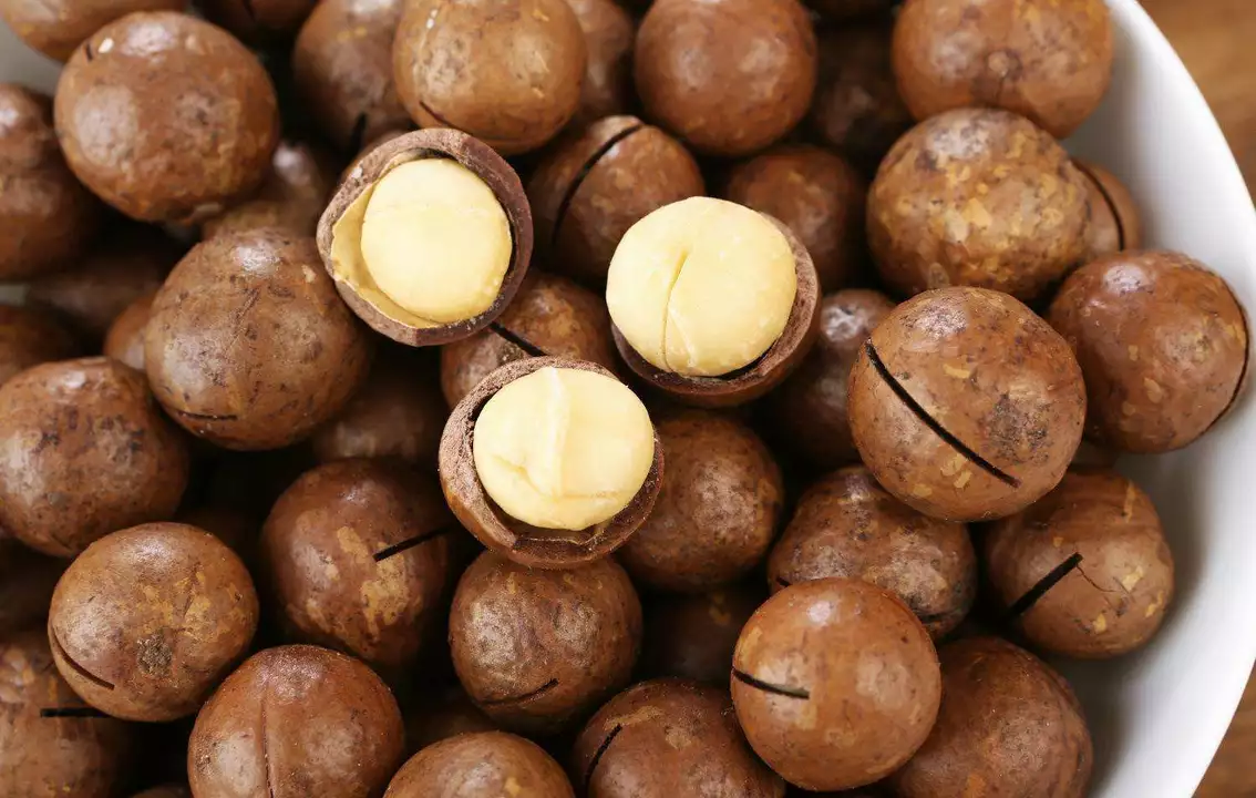 Améliorez votre santé avec la noix de macadamia : le complément alimentaire que vous ne pouvez pas vous permettre d'ignorer